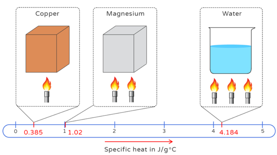 Specific Heat Capacity Formula