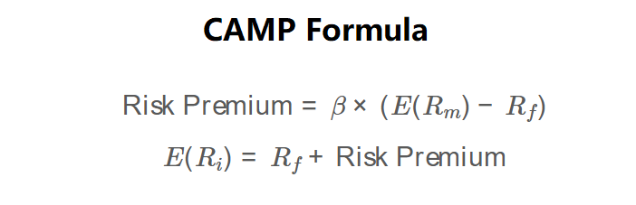 CAPM Formula
