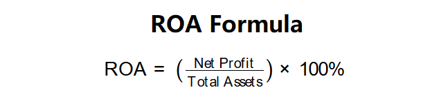 ROA Formula