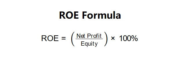 ROE Formula