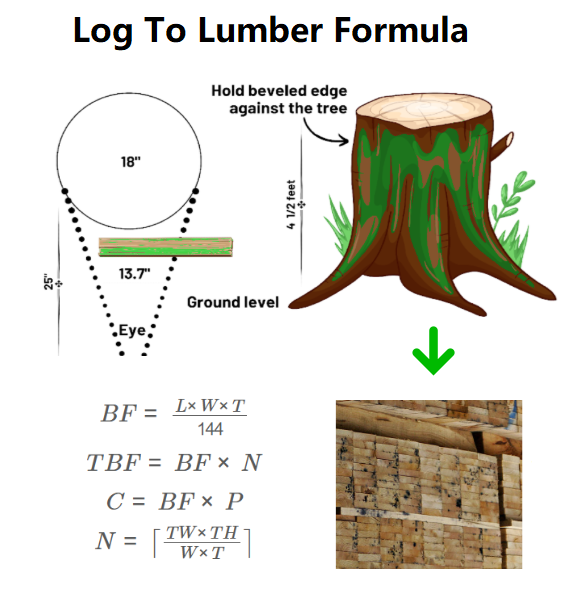 Log Board Foot Formula