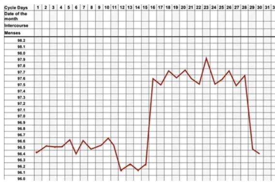 Basal Body Temperature Adjustment Calculator